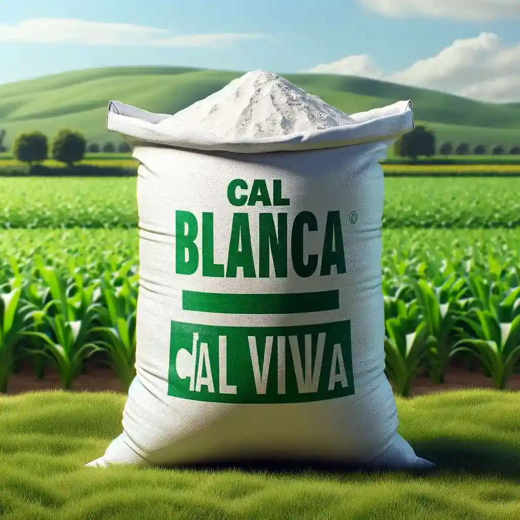 cal viva