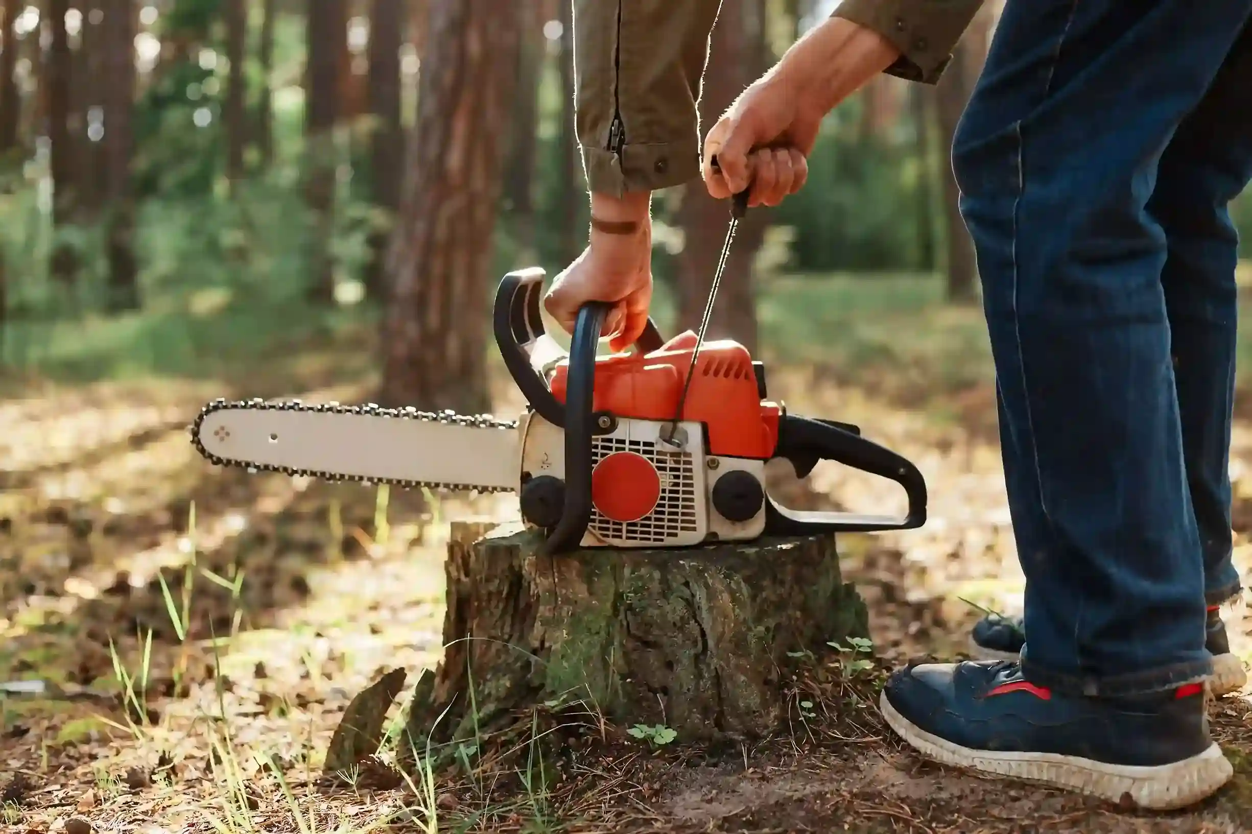Motosierra Stihl