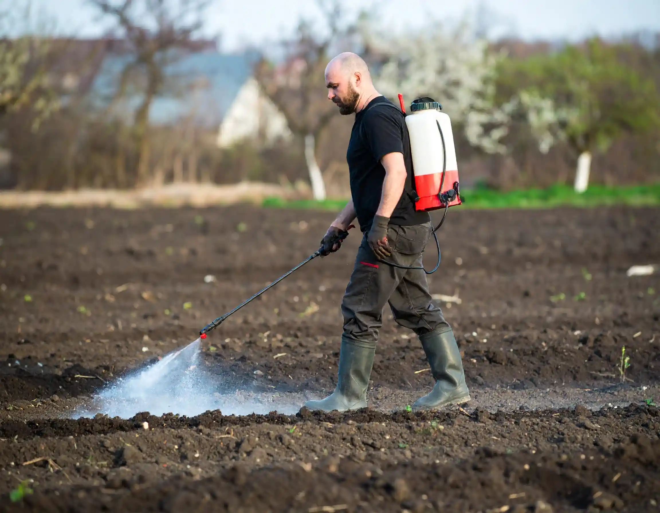 como aplicar humus liquido