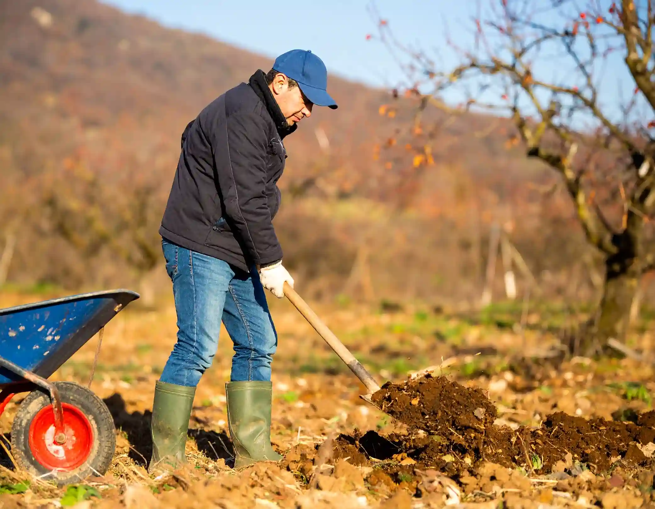 que es abono organico