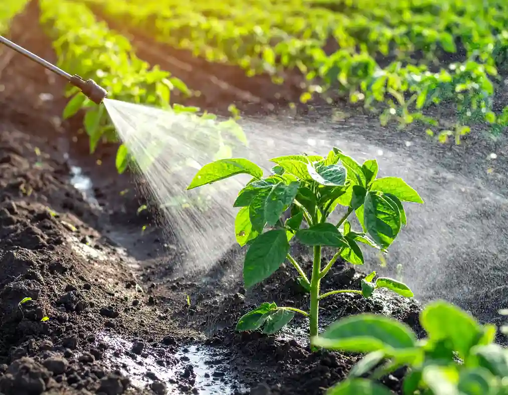 para que sirve el carbendazim