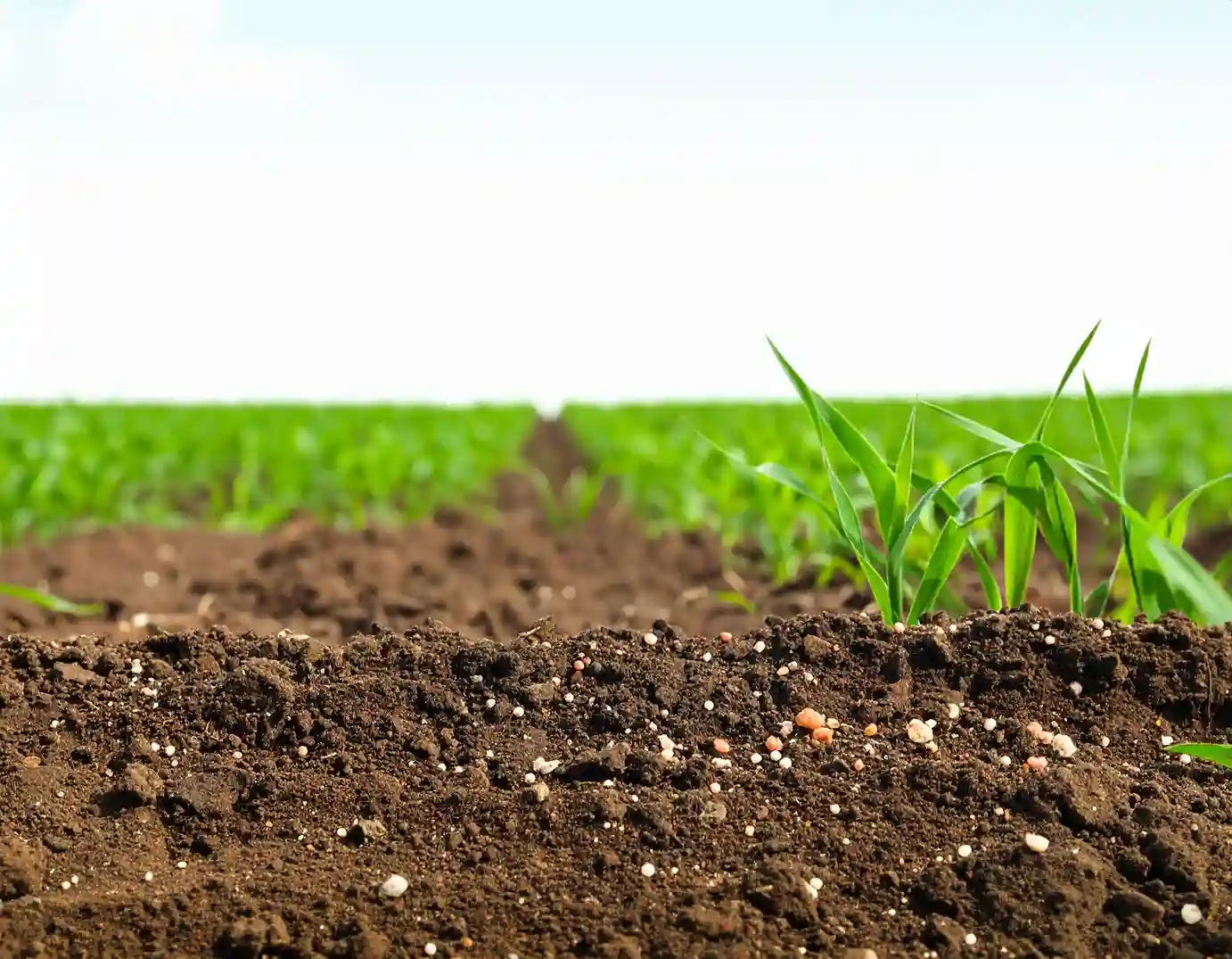 3 compuestos que contengan carbono