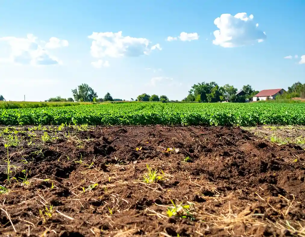 porque los agricultores enriquecen ciertos suelos con abonos