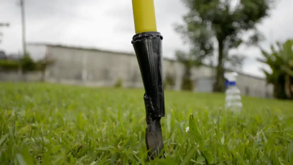 como sembrar pasto en semilla