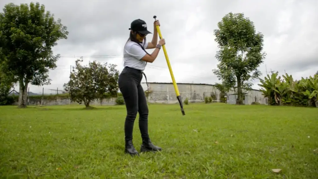 como sembrar pasto de corte