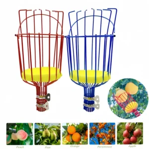 Recolector de frutas