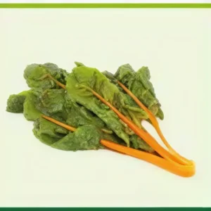 Semillas de Acelga Amarilla