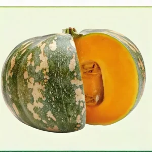 Semillas de Ahuyama Valluna