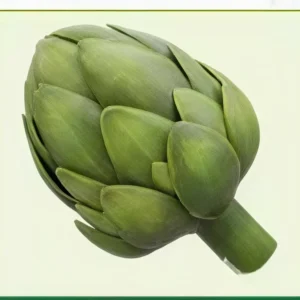 Semillas de Alcachofa