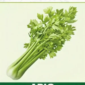 Semillas de Apio