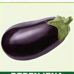 Semillas de Berenjena