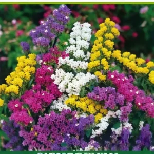 Semillas de Bien Me Queda