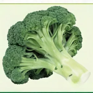 Semillas de Brócoli