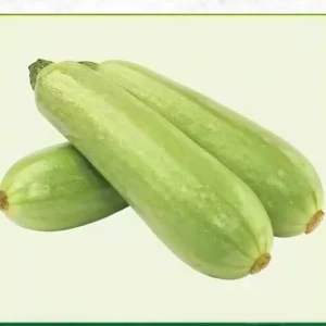 Semillas de Calabaza