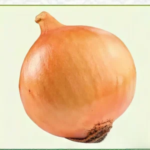 Semillas de Cebolla Blanca