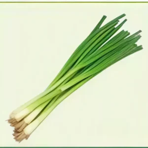 Semillas de Cebolla Larga