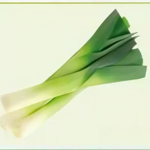 Semillas de Cebolla Puerro