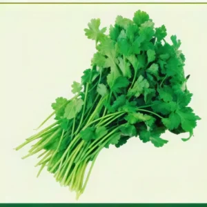 Semillas de Cilantro