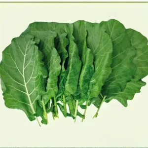 Semillas de Col Tallo