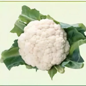 Semillas de Coliflor