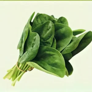 Semillas de Espinaca