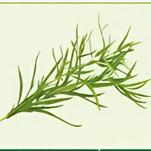 Semillas de Estragón