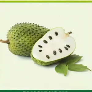 Semillas de Guanábana