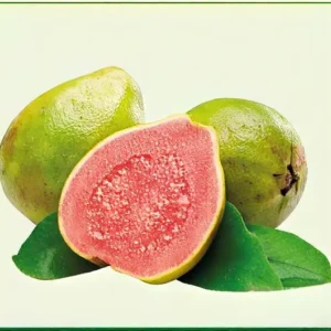 Semillas de Guayaba Pera