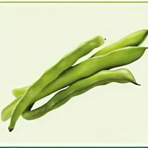 Semillas de Habichuela