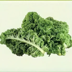 Semillas de Kale