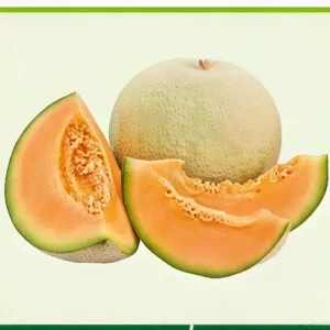Semillas de Melón