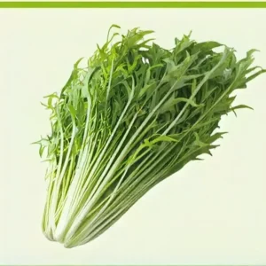 Semillas de Menta Verde