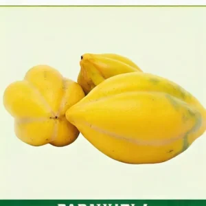 Semillas de Papayuela