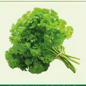 Semillas de Perejil Crespo