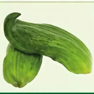 Semillas de Pimiento Basco