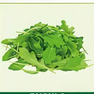 Semillas de Rúcula