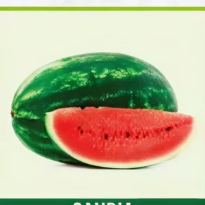 Semillas de Sandía