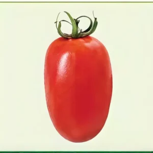 Semillas de Tomate Riofuego