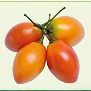 Semillas de Tomate de Árbol
