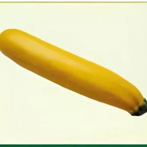 Semillas de Zucchini